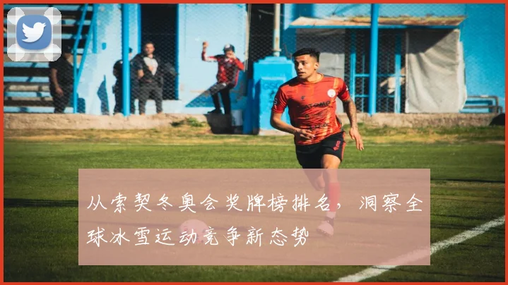 从索契冬奥会奖牌榜排名,洞察全球冰雪运动竞争新态势