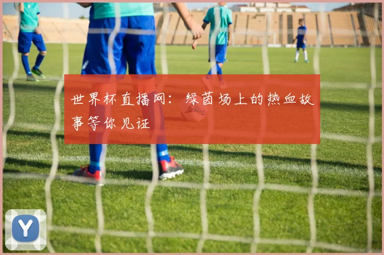 世界杯直播网：绿茵场上的热血故事等你见证