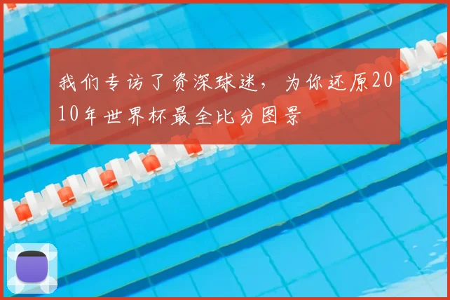我们专访了资深球迷,为你还原2010年世界杯最全比分图景