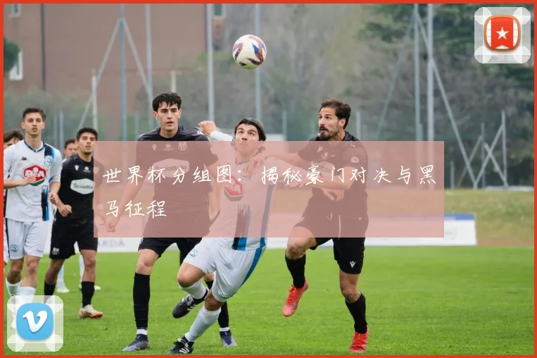 世界杯分组图：揭秘豪门对决与黑马征程