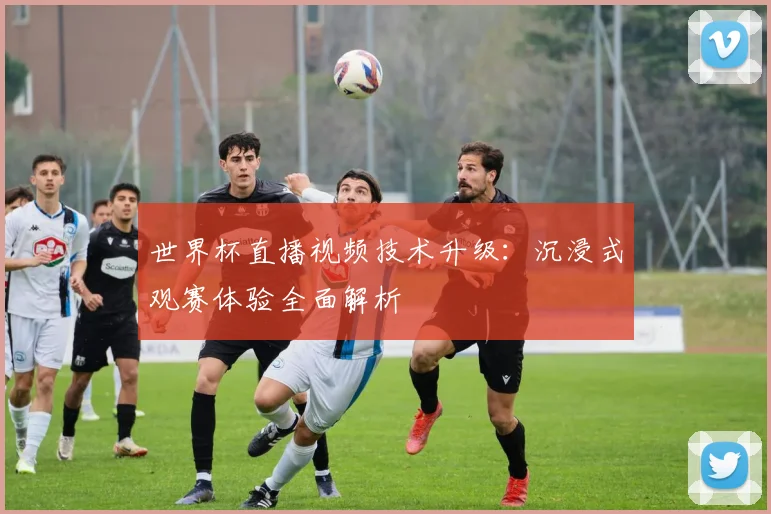 世界杯直播视频技术升级：沉浸式观赛体验全面解析