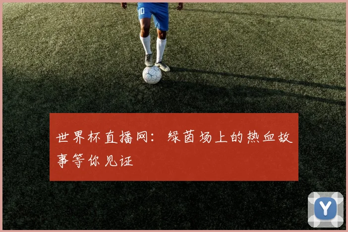 世界杯直播网：绿茵场上的热血故事等你见证