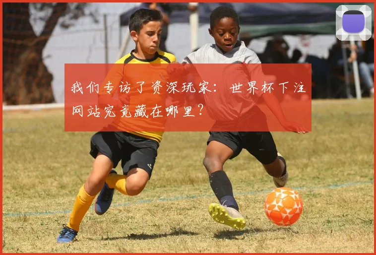 我们专访了资深玩家：世界杯下注网站究竟藏在哪里？