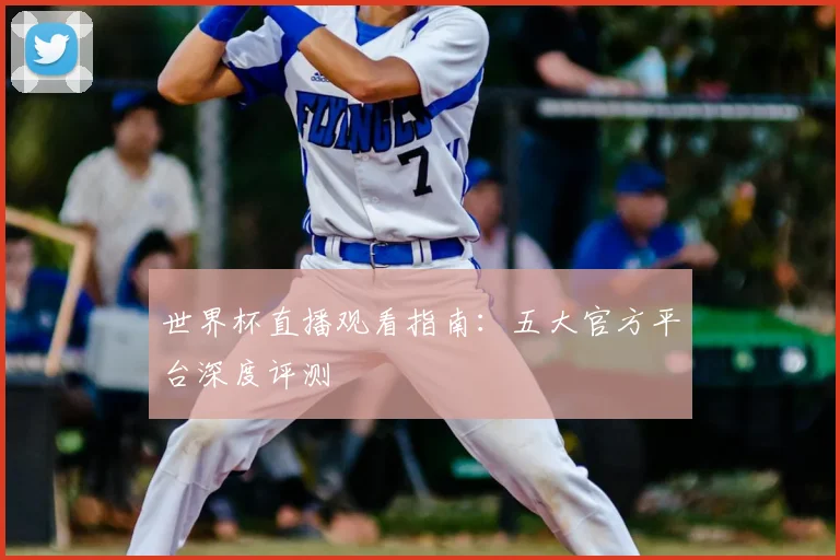 世界杯直播观看指南：五大官方平台深度评测