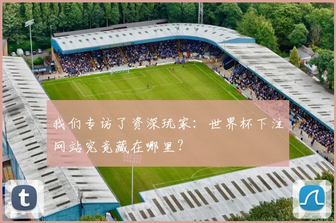我们专访了资深玩家：世界杯下注网站究竟藏在哪里？