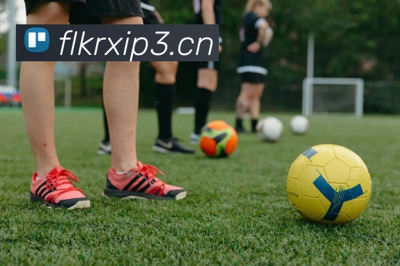 App Interface Preview